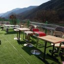 캠프리카 | 양산 원동 미나리 삼겹살 토끼 체험 가능한 하나캠프리카