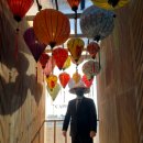 코지부호 이미지