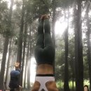 아란야 요가 이미지