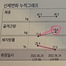 스파나무정자점