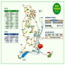 서구-02-82 | 자연휴양림 탐방 : 대전 장태산 자연휴양림