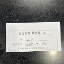 수원시녹색교통회관 수영장 이미지