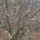 기우농장 이미지