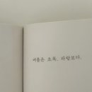 여름한컵 이미지