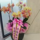 사랑의꽃집 이미지