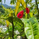 레드시크릿 이미지