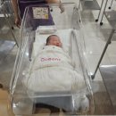 출산일기:: 2024.07.25 출산 ,천안퀸스산부인과 , 선택제왕 , 출산후기 (정성윤쌤) 달콩이 세상에 나오다 !