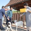 임실치즈테마파크5 이미지