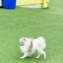 메종드레오