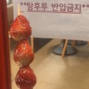 우리 사랑하고 사랑받자