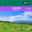 정답은꽃 이미지