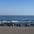 바다가 그리울때 | 서귀포 바다뷰 실내 애견동반카페 [그리울땐제주]