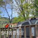 대관령 솔내음 오토 캠핑장 | 대관령 솔내음 캠핑장 강릉현지인 명당자리 추천 비추천자리 / 장박상담