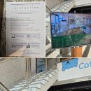 제이바다호텔 이미지