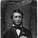 소로3-31 이미지