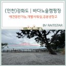1966노을
