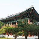 월송정月松亭 이미지