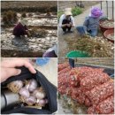 포두면사무소 이미지