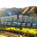 소노펫 보딩 이미지