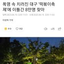 폭염 속 치러진 대구 &#39;떡볶이축제&#39;에 이틀간 8만명 찾아 이미지