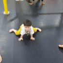 김해소룡체육관 이미지