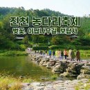 출렁다리 이팝나무길 | 충북 진천 가볼만한곳 생거진천 농다리축제 보탑사. 벚꽃. 이팝나무길