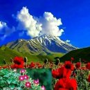 생의찬가 이미지