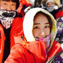 숲속의 별들 이미지