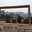 로카와 델피노2 이미지