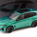 1:18 지티스피릿 x5m 시세가 궁금합니다 이미지