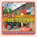 남원읍-90 | 제주투어패스로 즐긴 서귀포가볼만한곳 제주쇠소깍관광농원 방문후기