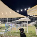 서촌동 댕번지 이미지