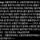 개를 위한 하루 이미지