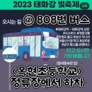 태화강 빛 축제 이미지