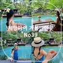 가-39 | 치앙마이 가볼만한곳 No39 핫플 카페 추천 메뉴 후기