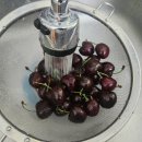 썬-마트슈퍼 | 겨울 제철과일 선물추천 칠레체리 씻는법 보관법 혈당관리 슈퍼푸드