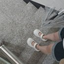 까만 하늘 위 펼쳐진 저 별들 세보며 ✨️