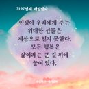 2197 | 2197일째 매일필사: 모든 행복은 삶이라는 큰 길 위에.