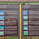 오미경칼국수 이미지