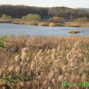 원천유원지 이미지