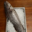 사계절 지짐이