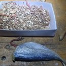 구산면611 이미지