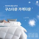 이브자리 이미지