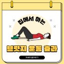 루틴브릿지 이미지