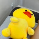 에이치브로우 | 충주 브라질리언왁싱 생생후기 안아프게 잘하는 곳 : 브로우에이치 추천