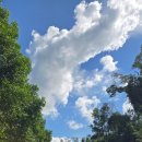 파란골프 | 베트남 푸꾸옥 빈펄 CC : 사진으로 보는 18홀 라운딩 후기 📸(한케이골프회원권 이용)