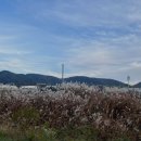 CU경주성건원룸점 | 대구 근교 경주 여행 경주 숙소 추천 헤이브리즈 풀빌라 수영장 가성비 좋은 펜션