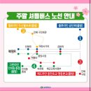 2025.03.30 진해 군항제 벚꽃 개화 상황