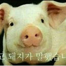 금선식당 이미지