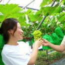 연지농장 이미지